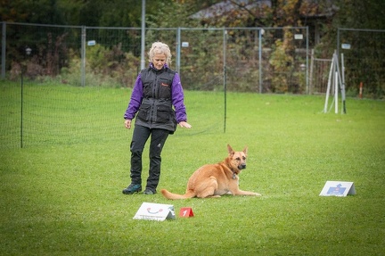 k-RO Kundel 13-10-2024 078