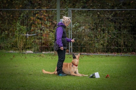 k-RO Kundel 13-10-2024 080