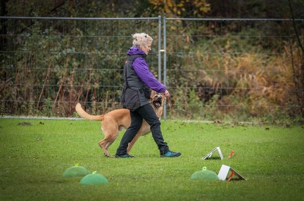 k-RO Kundel 13-10-2024 081