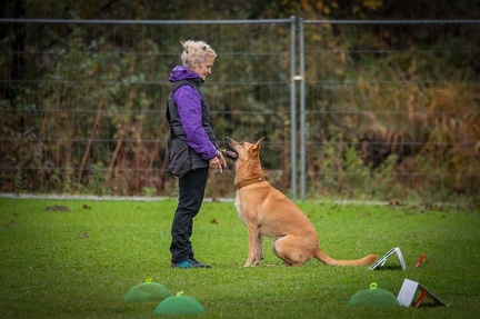 k-RO Kundel 13-10-2024 082