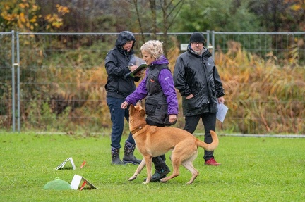 k-RO Kundel 13-10-2024 084