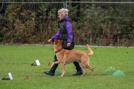 k-RO Kundel 13-10-2024 085