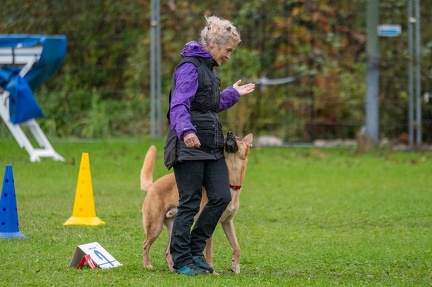 k-RO Kundel 13-10-2024 086