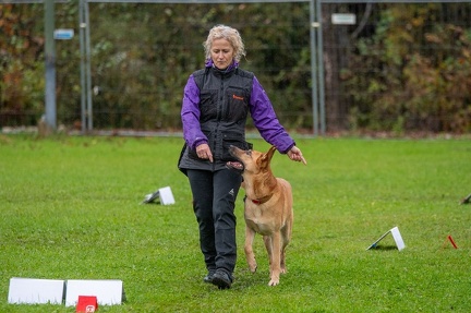 k-RO Kundel 13-10-2024 087