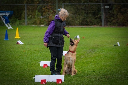 k-RO Kundel 13-10-2024 089