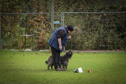 k-RO Kundel 13-10-2024 090