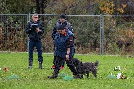 k-RO Kundel 13-10-2024 092