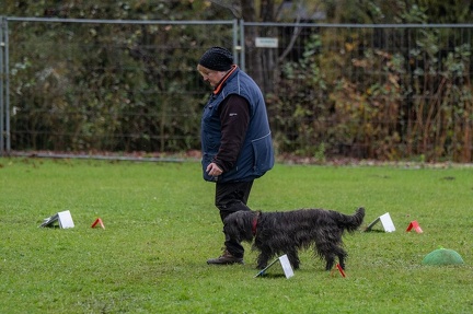 k-RO Kundel 13-10-2024 093