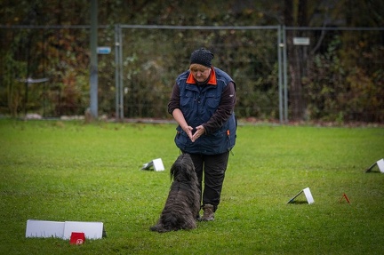 k-RO Kundel 13-10-2024 095