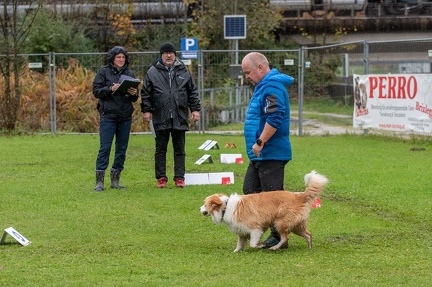 k-RO Kundel 13-10-2024 102