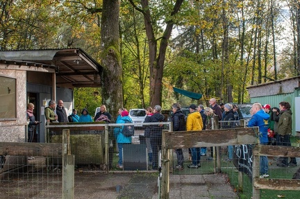 k-RO Kundel 13-10-2024 105