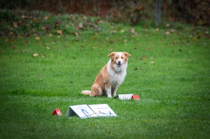 k-RO Kundel 13-10-2024 001