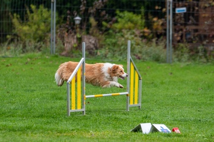 k-RO Kundel 13-10-2024 002