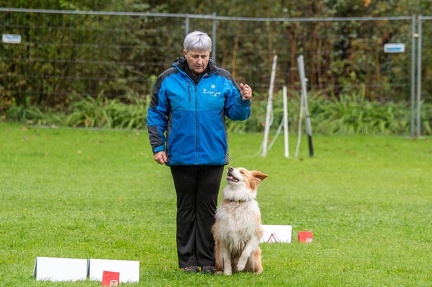 k-RO Kundel 13-10-2024 007