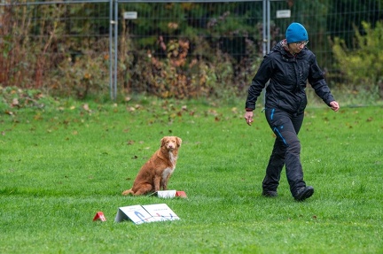 k-RO Kundel 13-10-2024 009