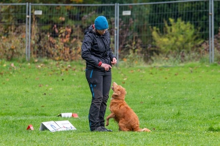 k-RO Kundel 13-10-2024 010