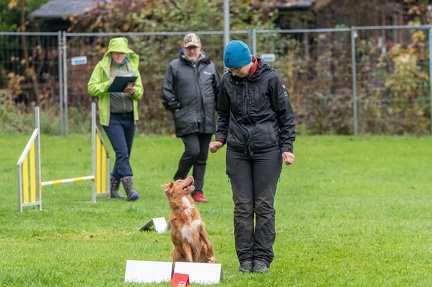 k-RO Kundel 13-10-2024 011