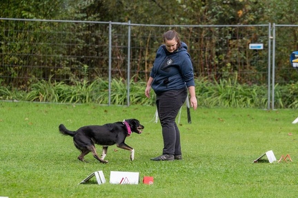 k-RO Kundel 13-10-2024 015