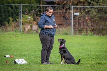 k-RO Kundel 13-10-2024 016