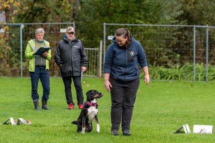 k-RO Kundel 13-10-2024 017