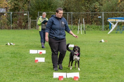 k-RO Kundel 13-10-2024 018