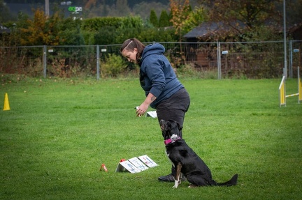 k-RO Kundel 13-10-2024 020