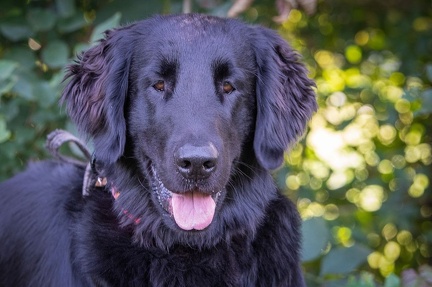 k-RO LM T&amp;V 20-10-2024 060