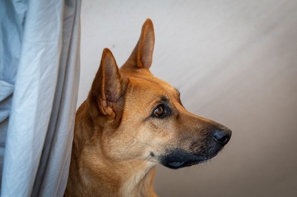 k-RO LM T&amp;V 20-10-2024 062