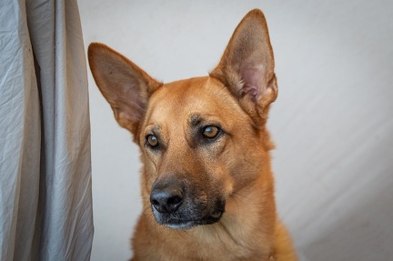 k-RO LM T&amp;V 20-10-2024 063