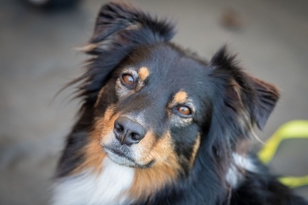 k-RO LM T&amp;V 20-10-2024 061