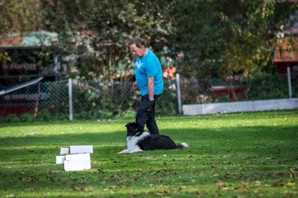 k-RO LM T&amp;V 20-10-2024 066