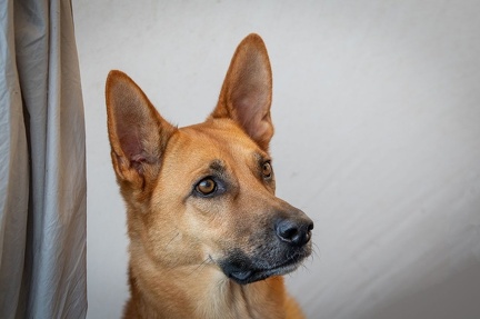 k-RO LM T&amp;V 20-10-2024 064