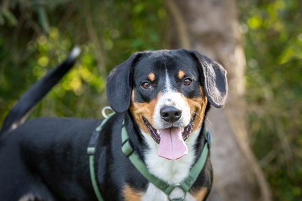 k-RO LM T&amp;V 20-10-2024 071