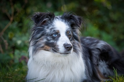 k-RO LM T&amp;V 20-10-2024 074