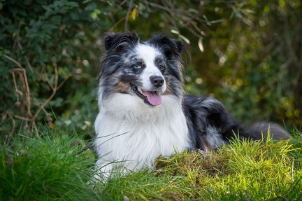 k-RO LM T&amp;V 20-10-2024 075