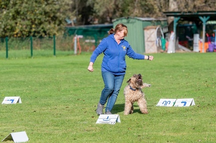 k-RO LM T&amp;V 20-10-2024 079