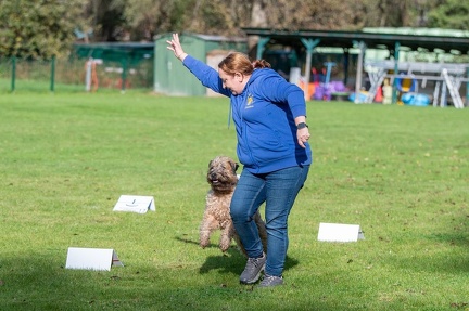 k-RO LM T&amp;V 20-10-2024 080