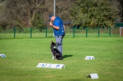 k-RO LM T&amp;V 20-10-2024 084