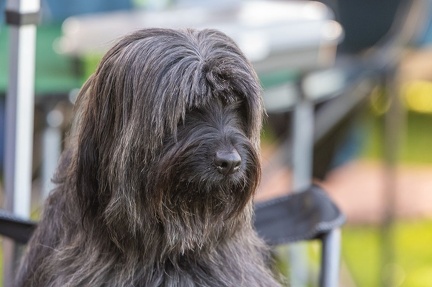 k-RO LM T&amp;V 20-10-2024 093