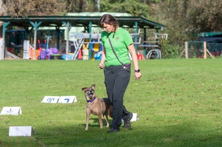 k-RO LM T&amp;V 20-10-2024 092