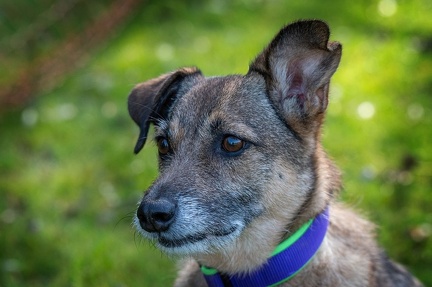 k-RO LM T&amp;V 20-10-2024 095