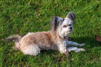 k-RO LM T&amp;V 20-10-2024 094