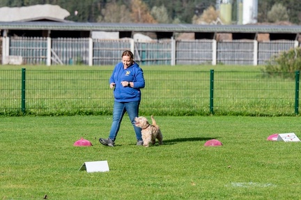 k-RO LM T&amp;V 20-10-2024 097