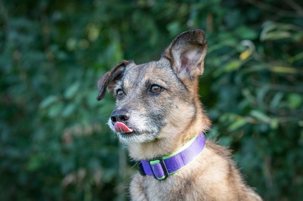 k-RO LM T&amp;V 20-10-2024 096