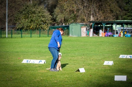 k-RO LM T&amp;V 20-10-2024 098