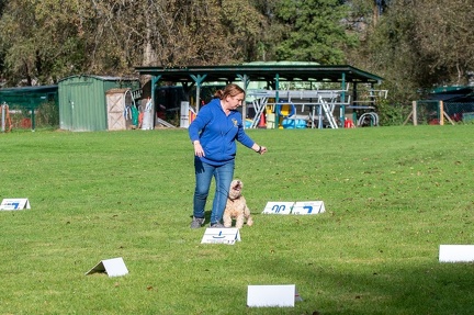 k-RO LM T&amp;V 20-10-2024 099