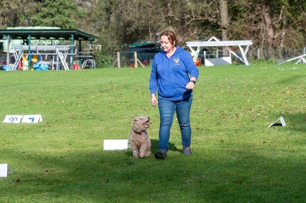 k-RO LM T&amp;V 20-10-2024 101