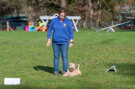 k-RO LM T&amp;V 20-10-2024 100