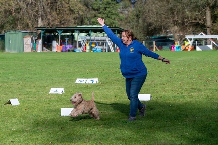 k-RO LM T&amp;V 20-10-2024 102