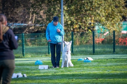 k-RO LM T&amp;V 20-10-2024 001